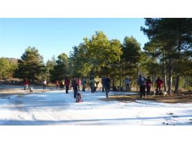 photo coins arrondis